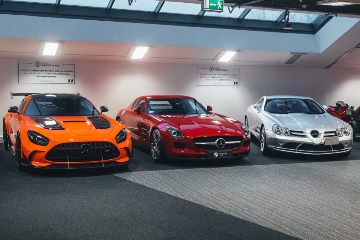 Which cars are rented most often?