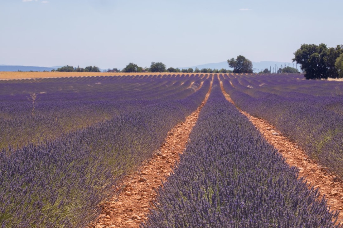 Provence convertible route